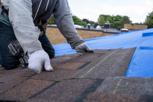 Best Roof Gutter Cleaning  in Franklinton, LA
